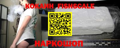 гашик Сланцы