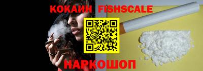 гашик Сланцы