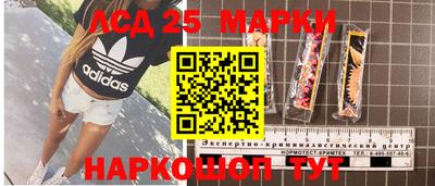 гашик Сланцы
