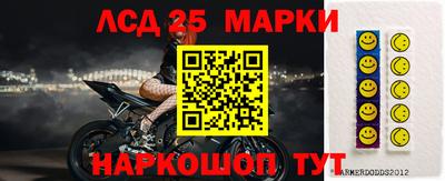 гашик Сланцы